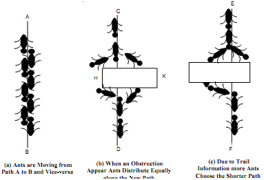 704_Problems that can be resolved by using ACO.png